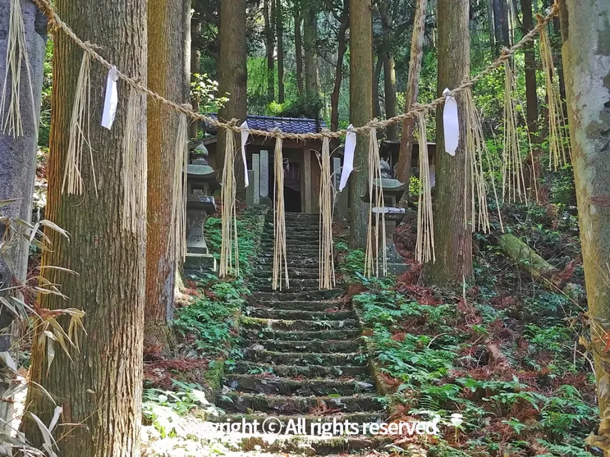 규슈올레 구르메 고라산코스 묘켄보살(다카미무스비노미코토을 모시고 있는 본전으로 올라가는 이끼가 낀 돌계단이 신비로운 곳.