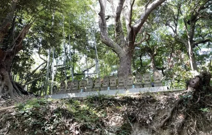 규슈올레 후쿠오카 신구 타치바나+아이노시마 3박4일 패키지 (+ 뉴카멜리아)